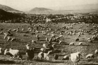 111. Talmcs, riche village de bergers roumains à l’entre de la gorge de Vrstorony