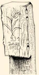 Avassgi fejfa (Vmfalu, v. Szatmr m., 1942)