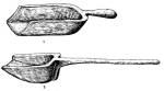 Szapoly 1. ivszapoly (Alfld), 2. nyeles vzhny szapoly (ltalnos forma)