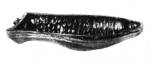 Kalácssütő tepsi hal formájú (Dunapataj, Bács-Kiskun m., 20. sz. első fele) Bp. Néprajzi Múzeum