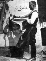 79. A juhbőr kikészítése. Juhász Miklós szűcsmester munka közben, Hajdúdorog (Hajdú megye). Kalapos Sándor felvételei, 1941 (Néprajzi Múzeum, Budapest) – A bőr kákózása