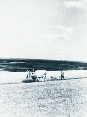Sznts krfogattal 1940-ben Tormson