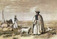 VIII. Shepherds, 1855 