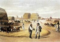 VII. Dreschen mit Pferden auf der Tenne eines Gutsbetriebes, 1855 