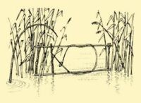 Abb. 101. Reischlinge zum Fangen von Wasservgeln.