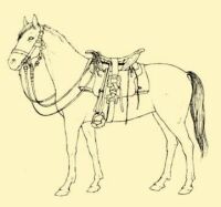 Abb. 129. Reitpferd des Pferdehirten.