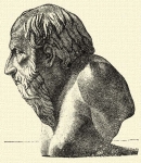 233. Diogenes mrvnyszobrnak feje (Villa Albani, Roma).