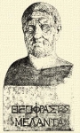 825. Theophrastus mrvnyhermja (Roma, Villa Albani)